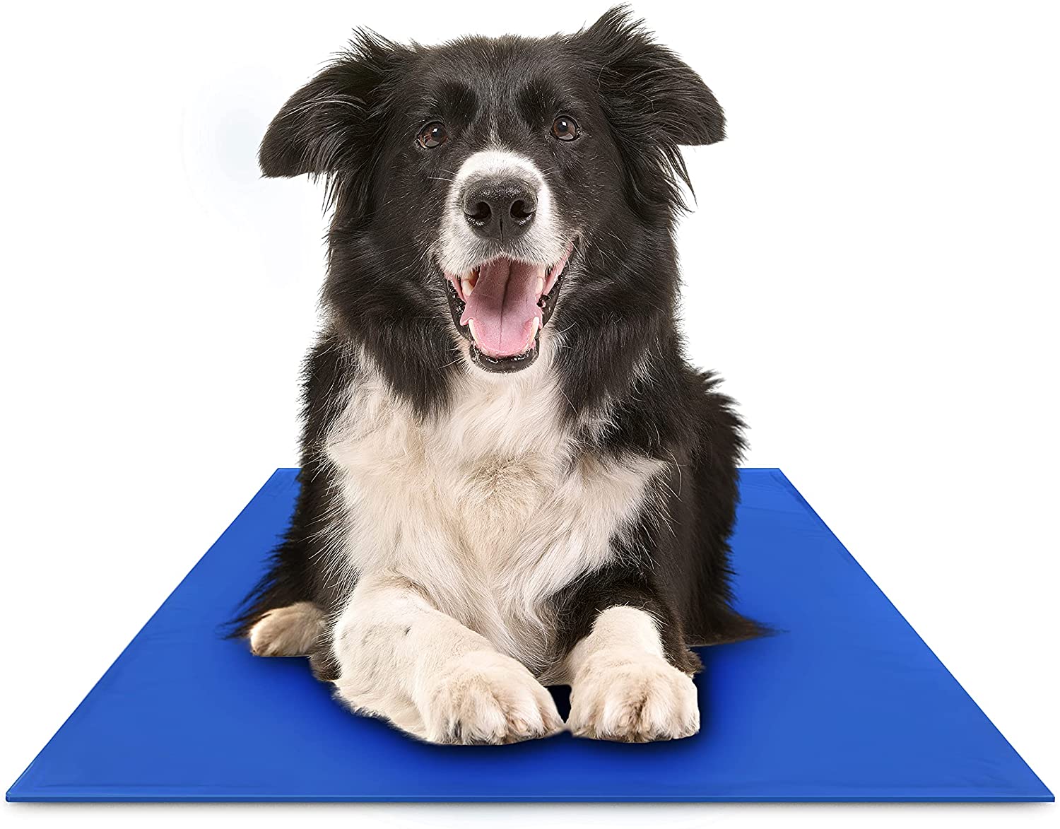 Pet Cooling Mat | Self-Regulating Gel Technology