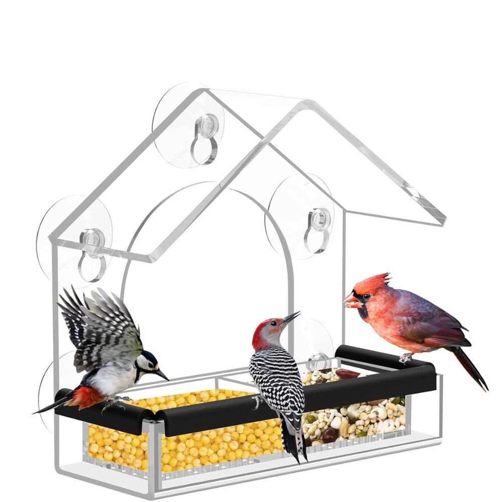 Acrylic Window Bird Feeder | Transparent House Design with Suction Cups