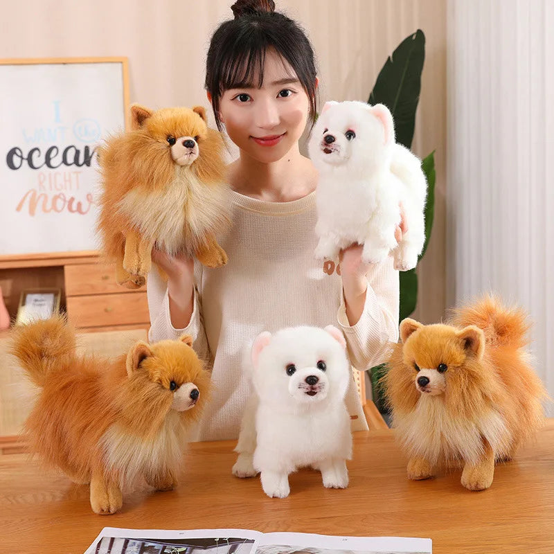 Plush Pomeranian Dog Toy | Realistic 12-Inch Stuffed Animal