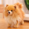 Plush Pomeranian Dog Toy | Realistic 12-Inch Stuffed Animal