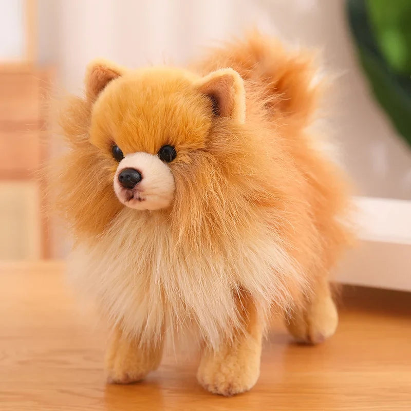 Plush Pomeranian Dog Toy | Realistic 12-Inch Stuffed Animal