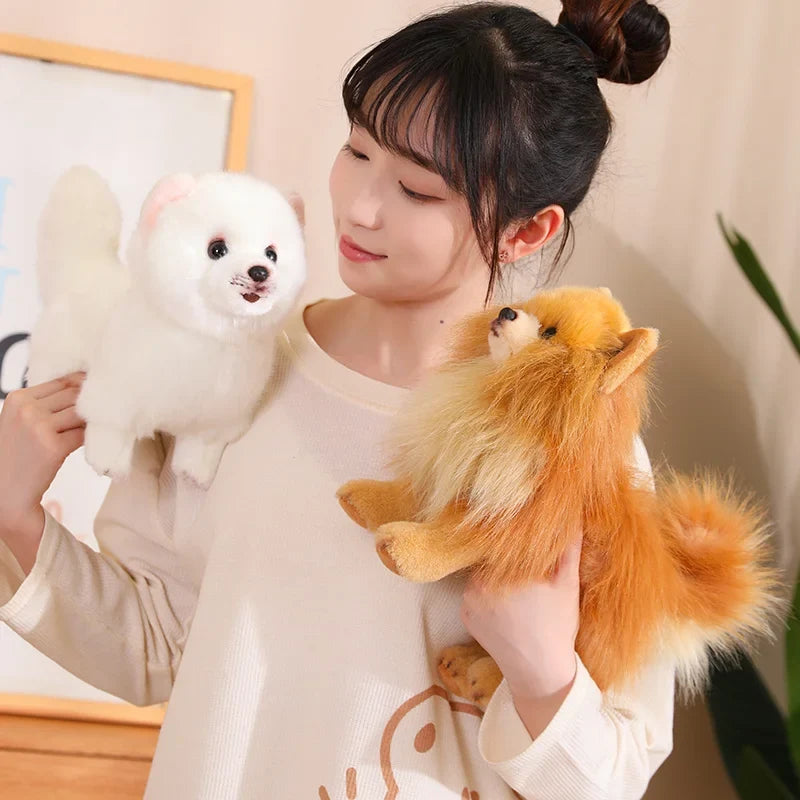 Plush Pomeranian Dog Toy | Realistic 12-Inch Stuffed Animal