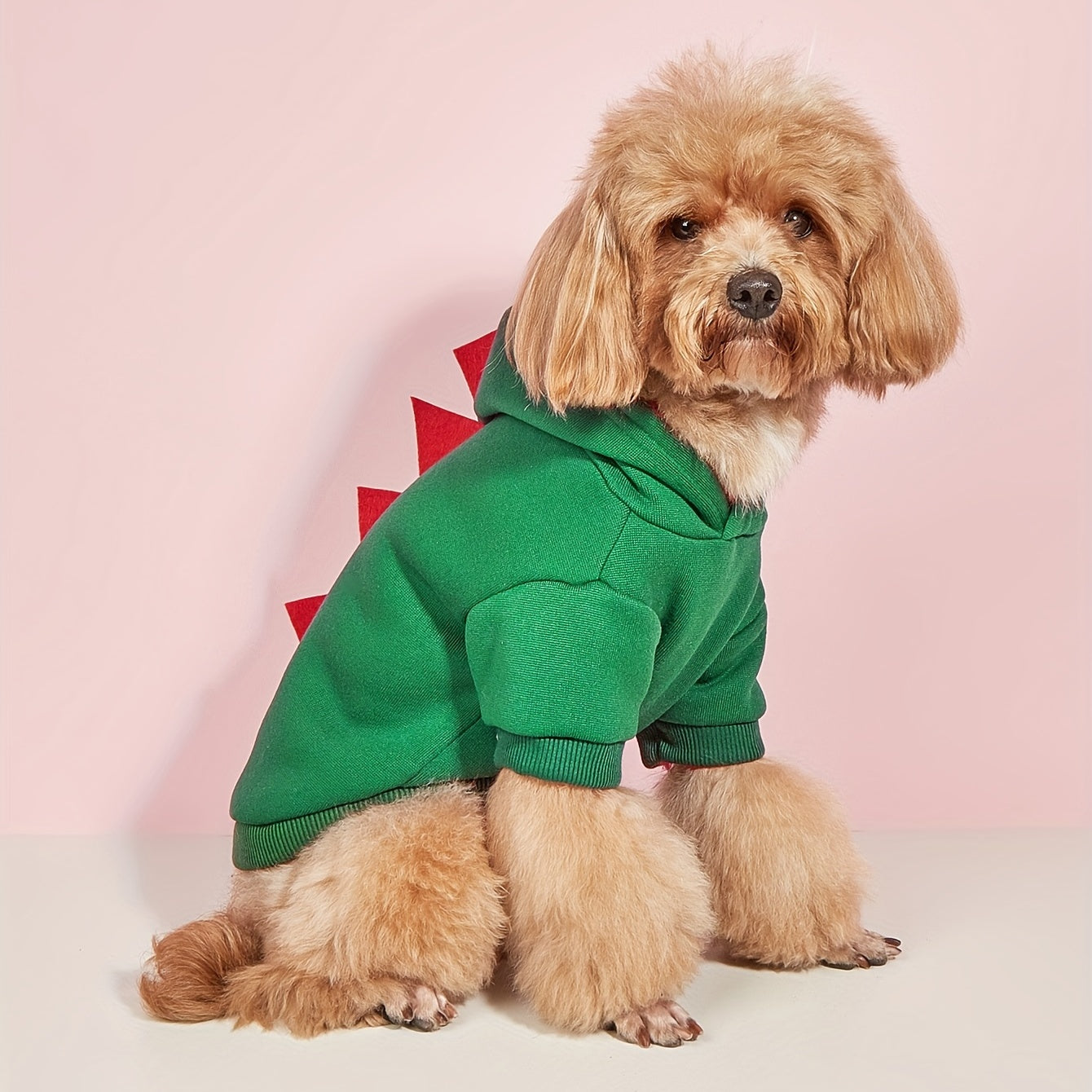 Dog Dinosaur Hoodie | Pet Halloween Costume with Spikes