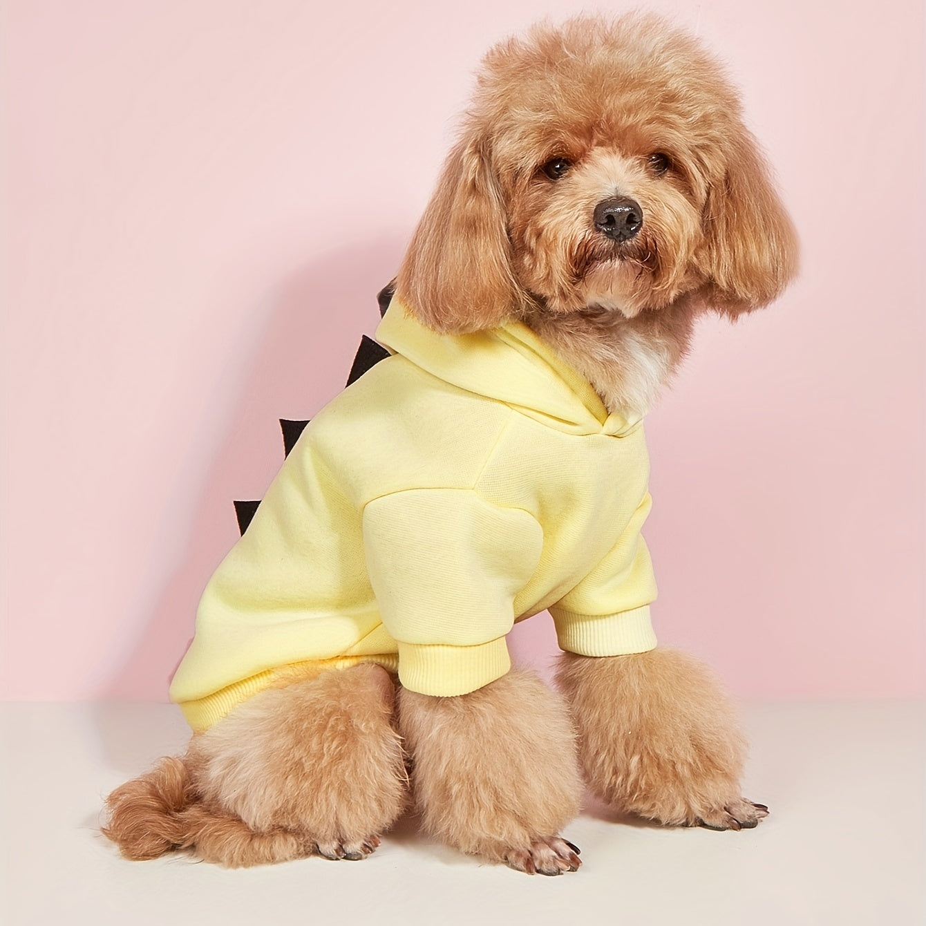 Dog Dinosaur Hoodie | Pet Halloween Costume with Spikes