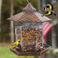 Hanging Bird Feeder | Copper Roof Clear Container Design