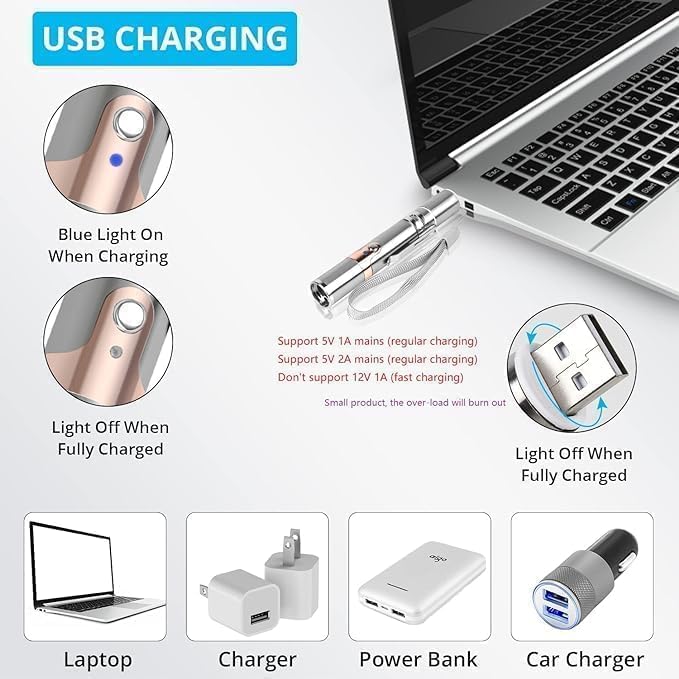Interactive Cat Laser Toy | Rechargeable Stainless Steel with 5 Patterns
