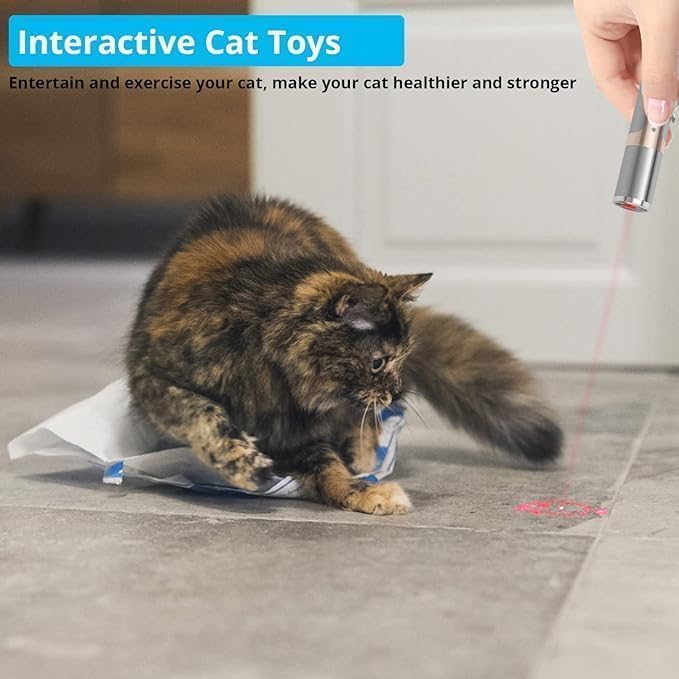 Interactive Cat Laser Toy | Rechargeable Stainless Steel with 5 Patterns