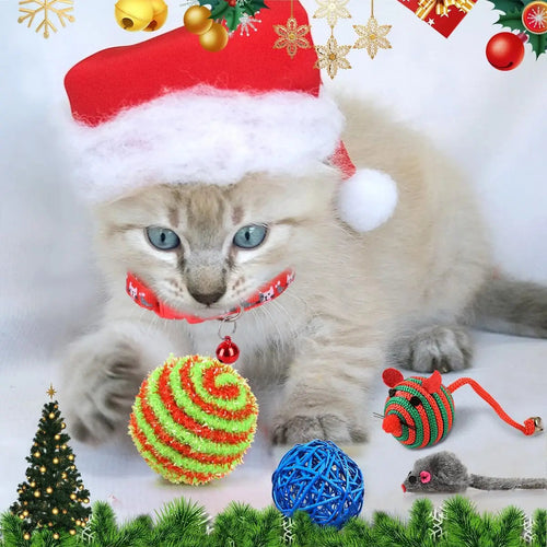 Cat Advent Calendar | 24 Interactive Holiday Toys
