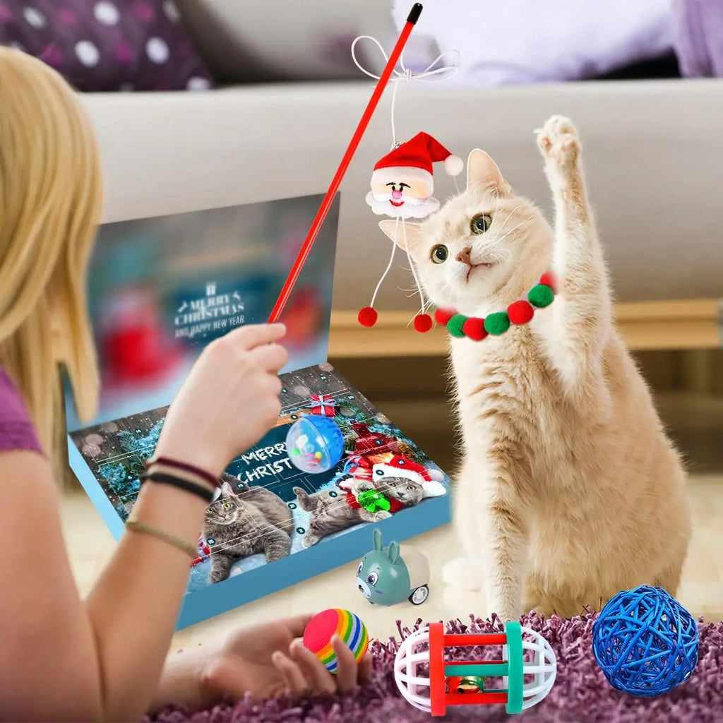 Cat Advent Calendar | 24-Day Interactive Toy Collection