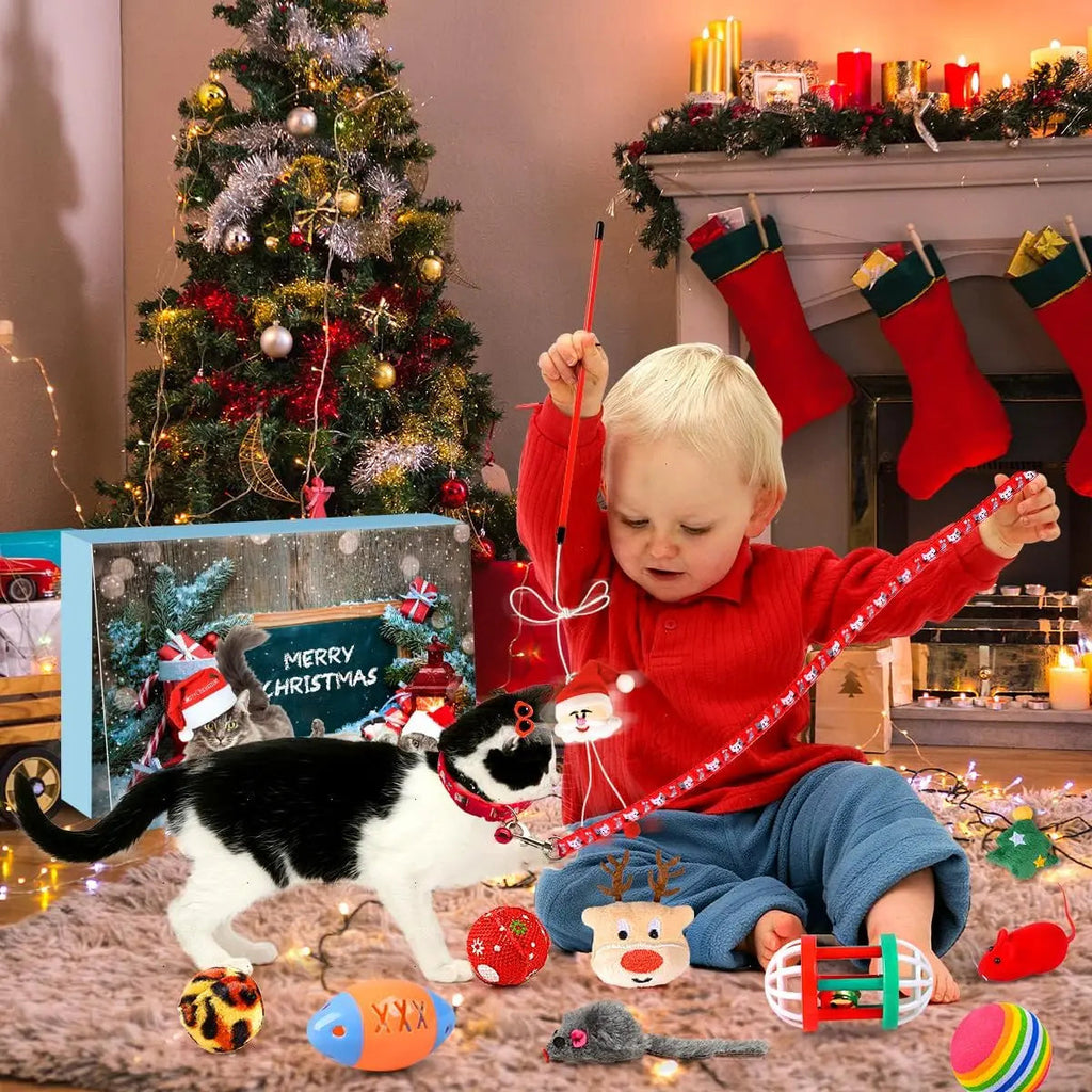 Cat Advent Calendar | 24 Interactive Holiday Toys