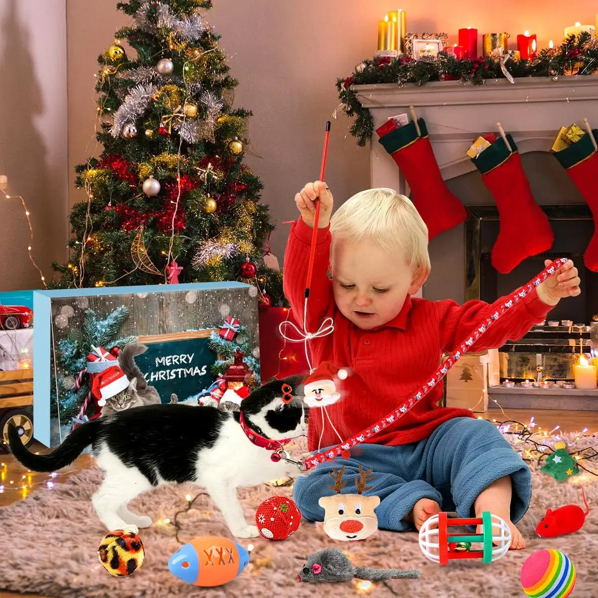 Cat Advent Calendar | 24 Interactive Holiday Toys