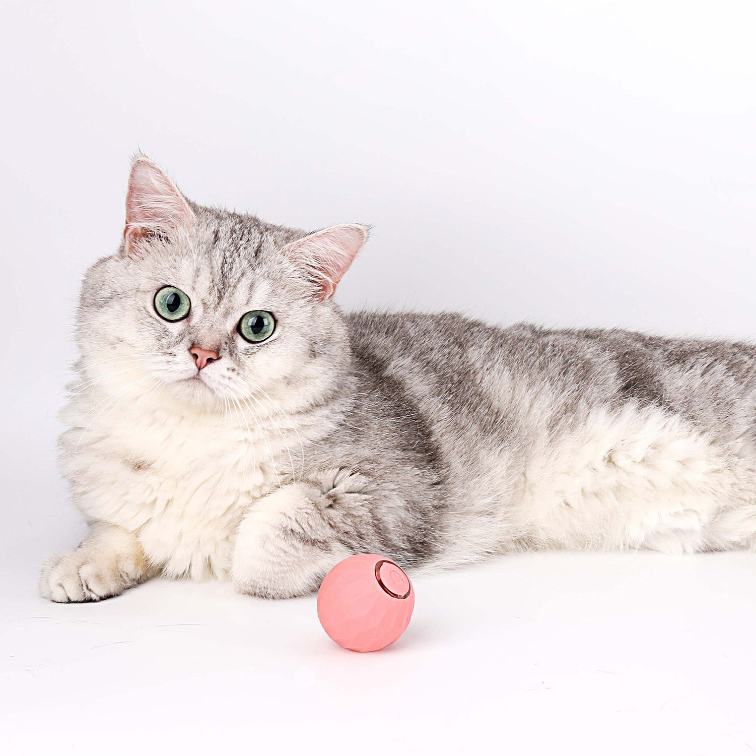 Interactive Cat Toy Ball | Self-Rolling Motion Activated