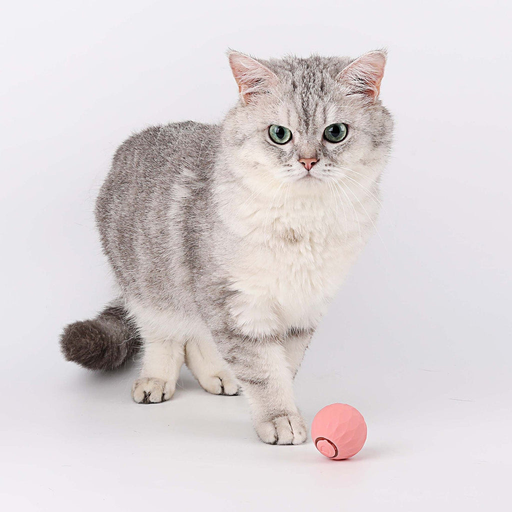 Interactive Cat Toy Ball | Self-Rolling Motion Activated