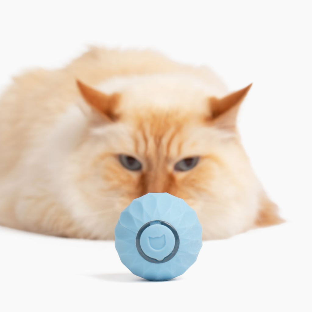 Interactive Cat Toy Ball | Self-Rolling Motion Activated