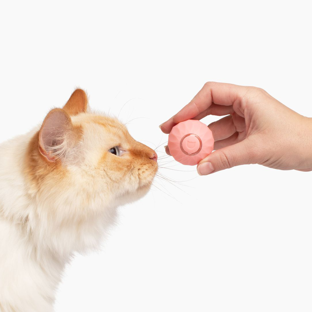 Interactive Cat Toy Ball | Self-Rolling Motion Activated