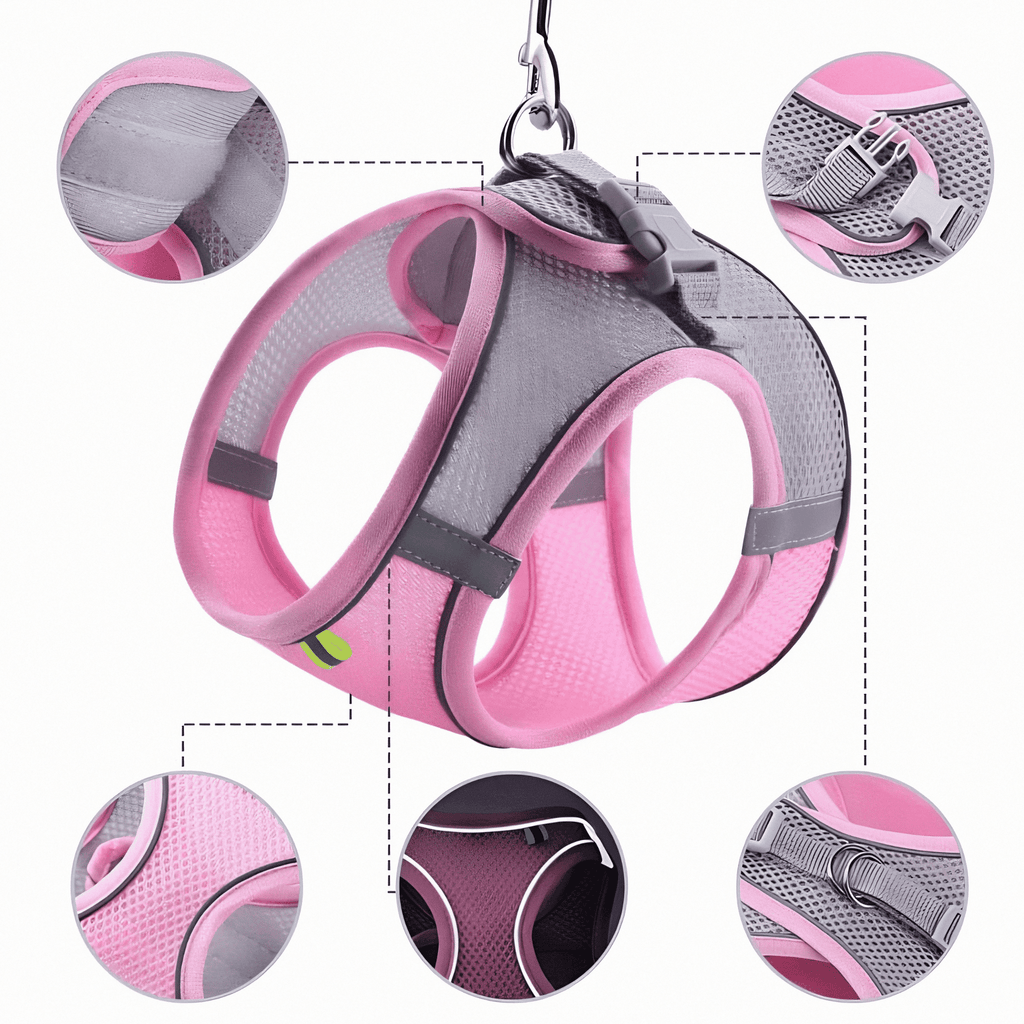 Mesh Cat Harness | Adjustable Safety Design