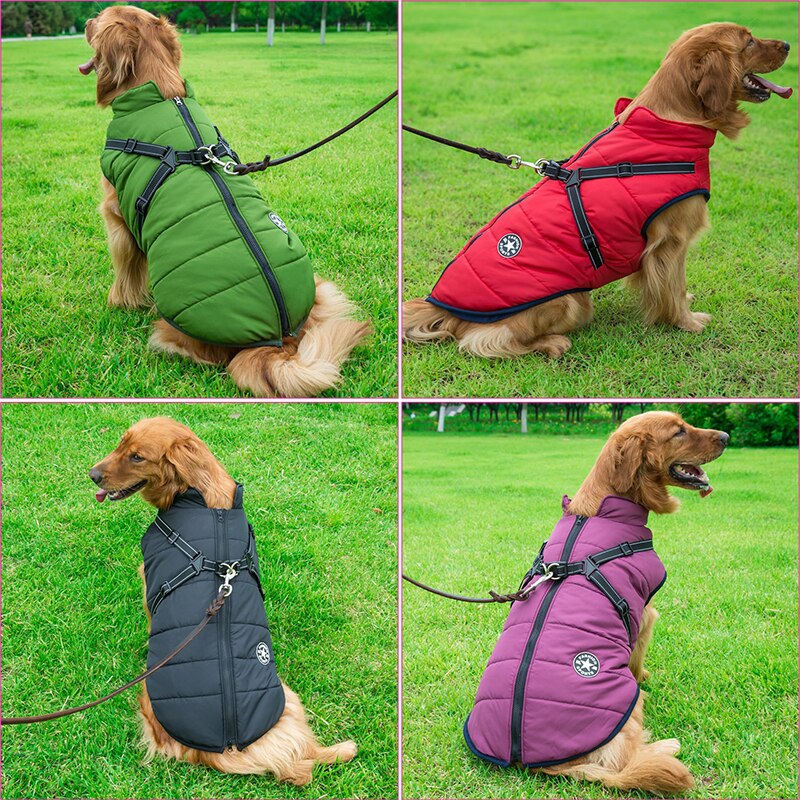 Winter Dog Coat | Built-In Safety Harness and Reflective Details
