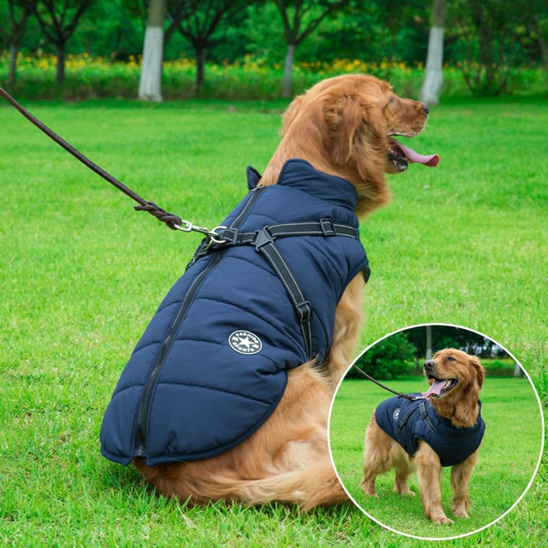 Winter Dog Coat | Built-In Safety Harness and Reflective Details