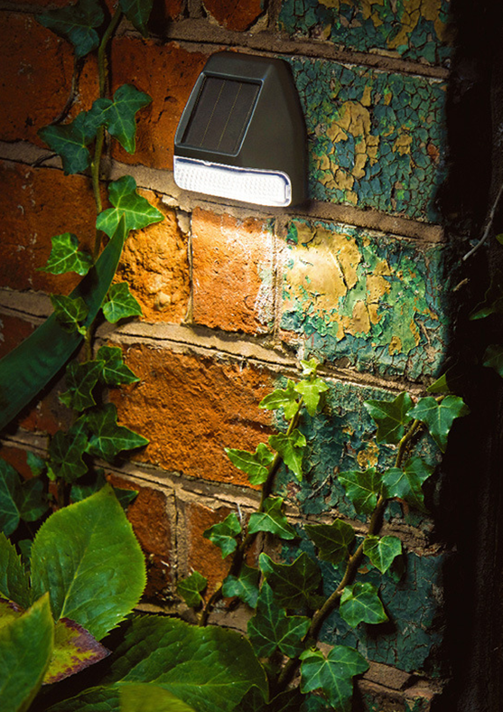 Solar Outdoor Light | Weather-Resistant LED Sensor Lamp