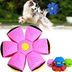 Transforming Pet Ball | Dual-Mode Play Disc with Floating Design