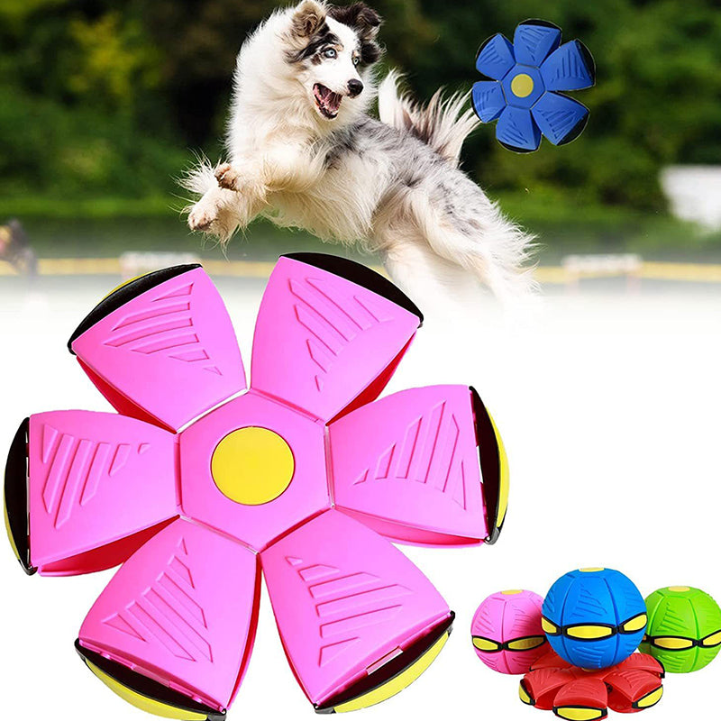 Transforming Pet Ball | Dual-Mode Play Disc with Floating Design