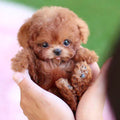 Interactive Pet Toy | Touch Responsive Plush Companion