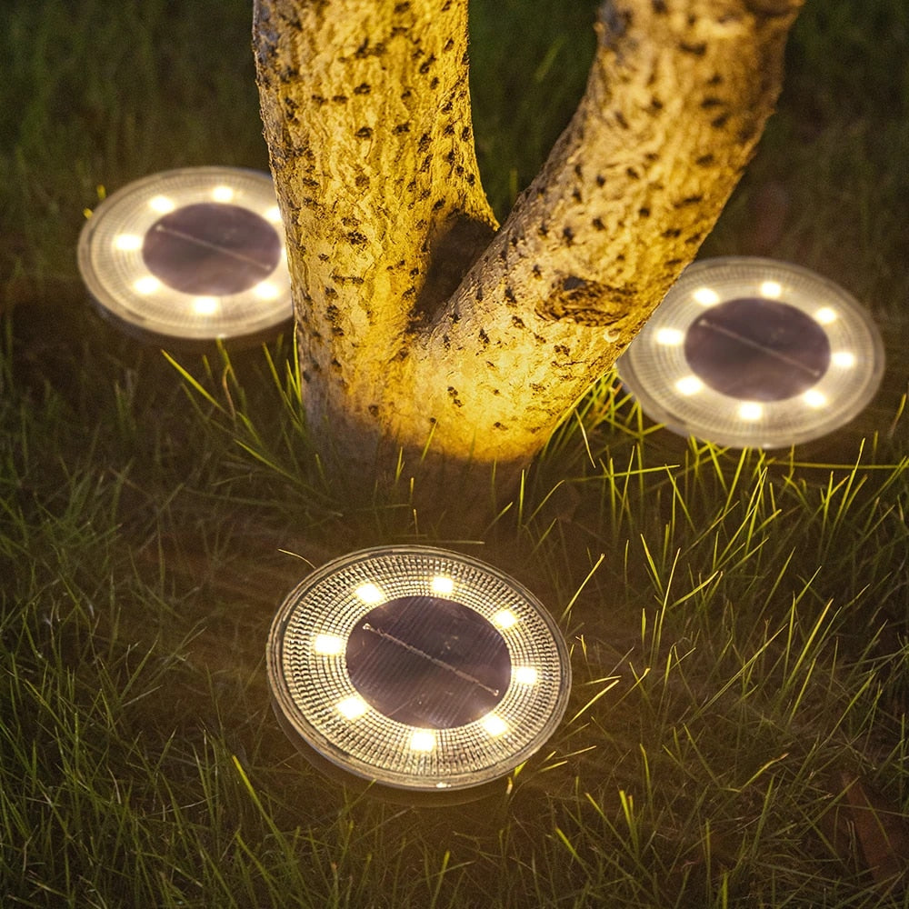 Solar Garden Path Lights | Wireless LED Ground Illumination