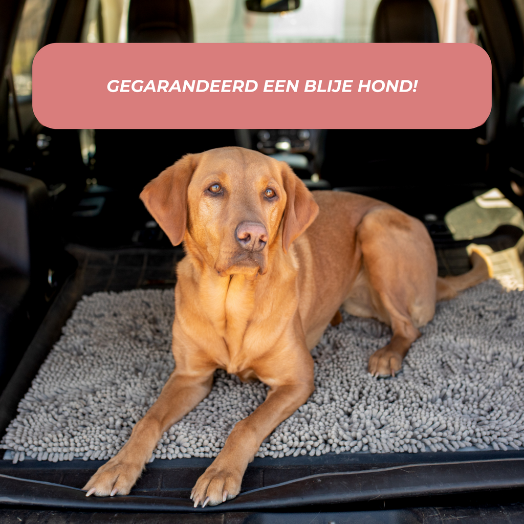 Absorbent Pet Door Mat | High-Performance Microfiber Cleaning Pad