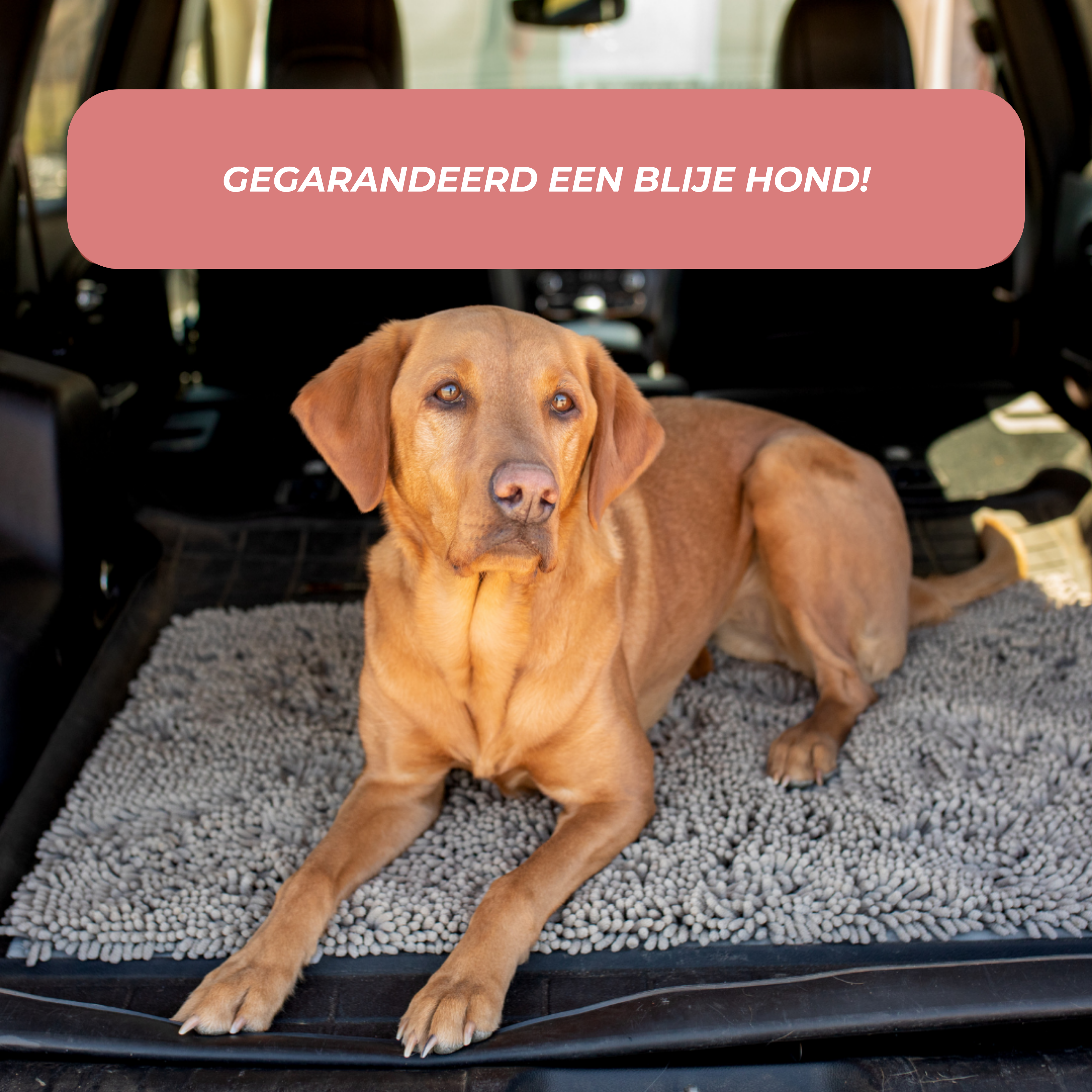 Absorbent Pet Door Mat | High-Performance Microfiber Cleaning Pad