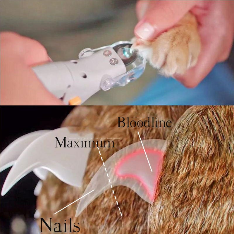 LED Pet Nail Clippers | 5x Magnification with Safety Guard