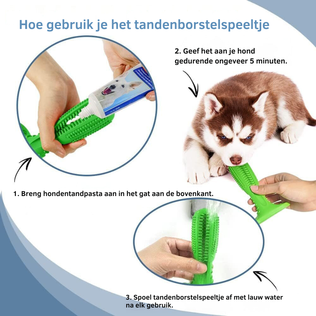 Dog Dental Care Toy | Natural Rubber Teeth Cleaning Chew
