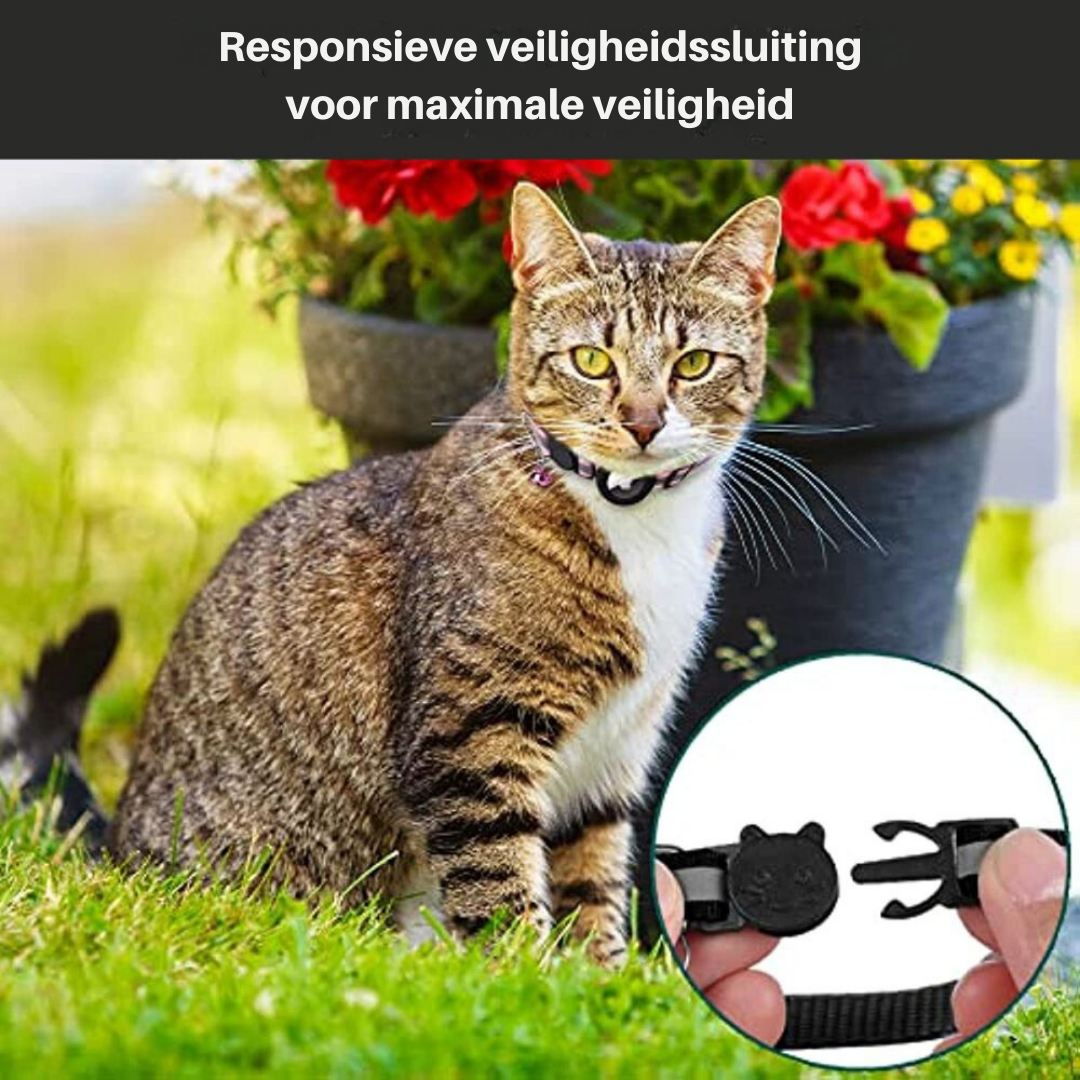 Cat GPS Collar | Reflective Safety Design with Quick Release