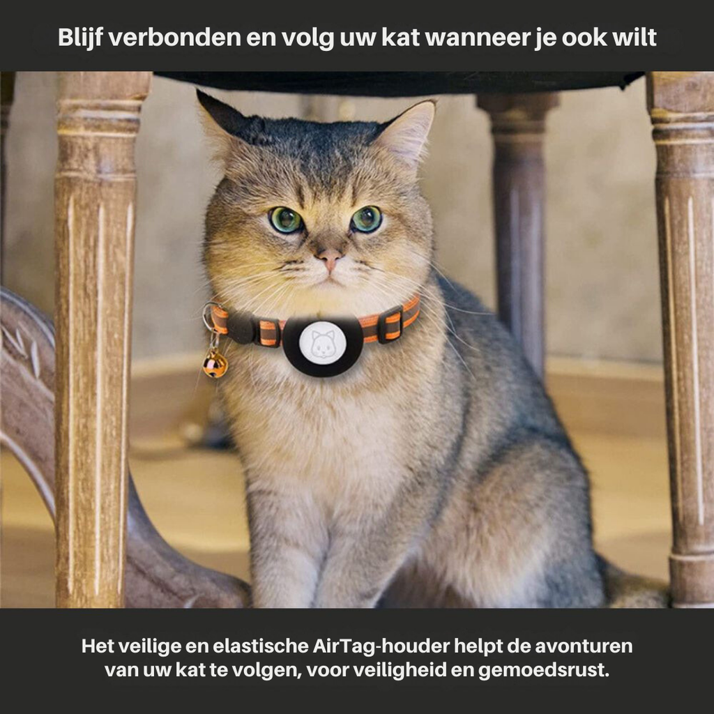 Cat GPS Collar | Reflective Safety Design with Quick Release
