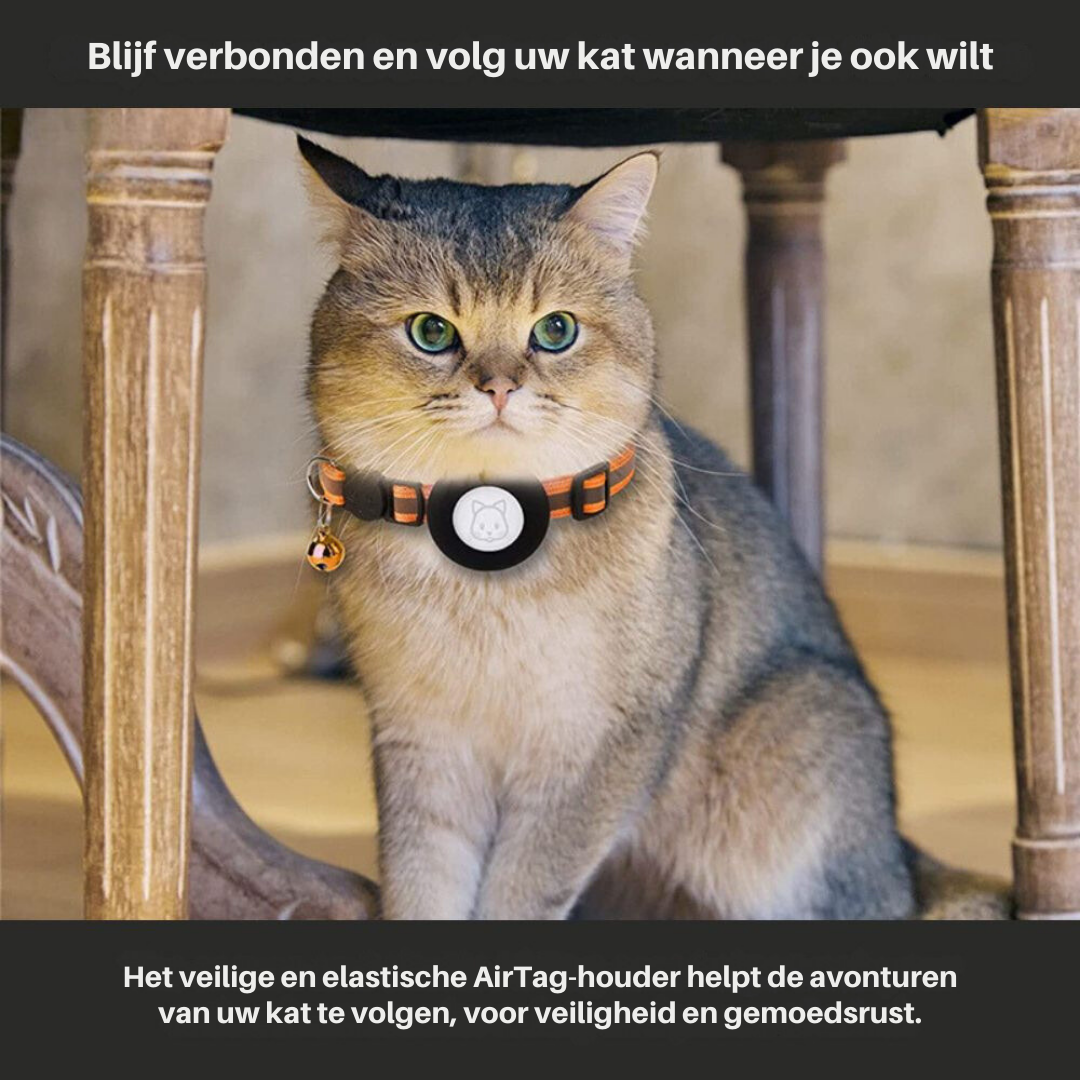 Cat GPS Collar | Reflective Safety Design with Quick Release