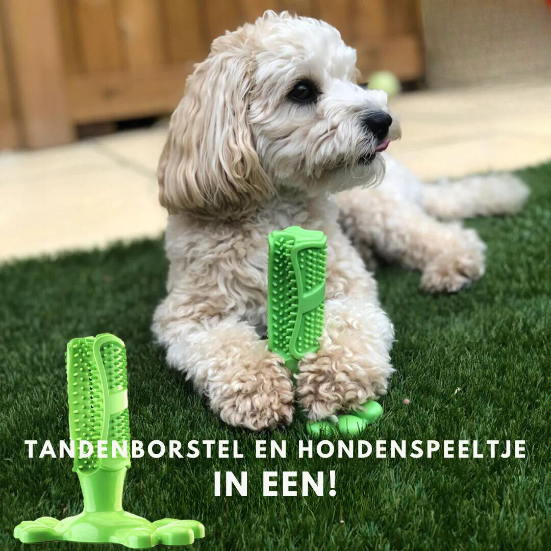 Dog Dental Care Toy | Natural Rubber Teeth Cleaning Chew
