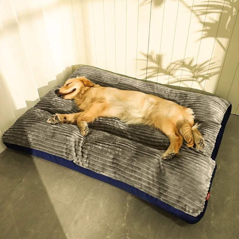Orthopedic Dog Bed | Memory Foam with Plush Fleece Cover