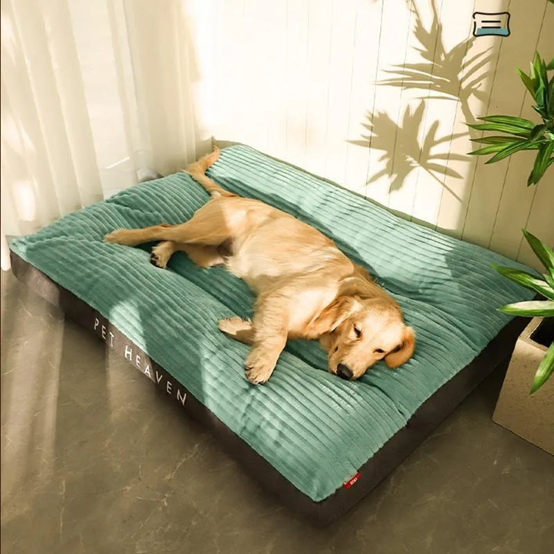 Orthopedic Dog Bed | Memory Foam with Plush Fleece Cover