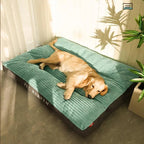 Orthopedic Dog Bed | Memory Foam with Plush Fleece Cover