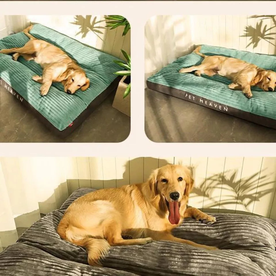 Orthopedic Dog Bed | Memory Foam with Plush Fleece Cover