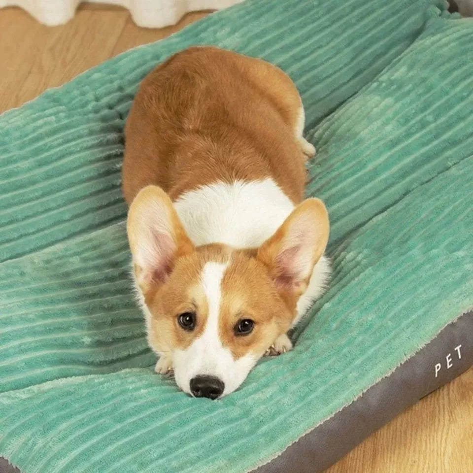Orthopedic Dog Bed | Memory Foam with Plush Fleece Cover