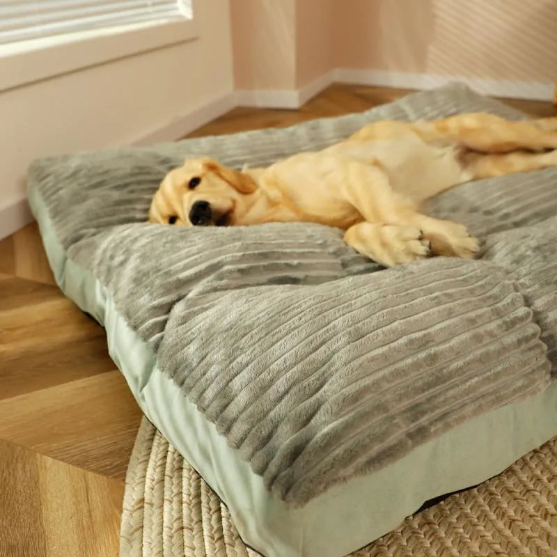 Orthopedic Dog Bed | Memory Foam with Plush Fleece Cover