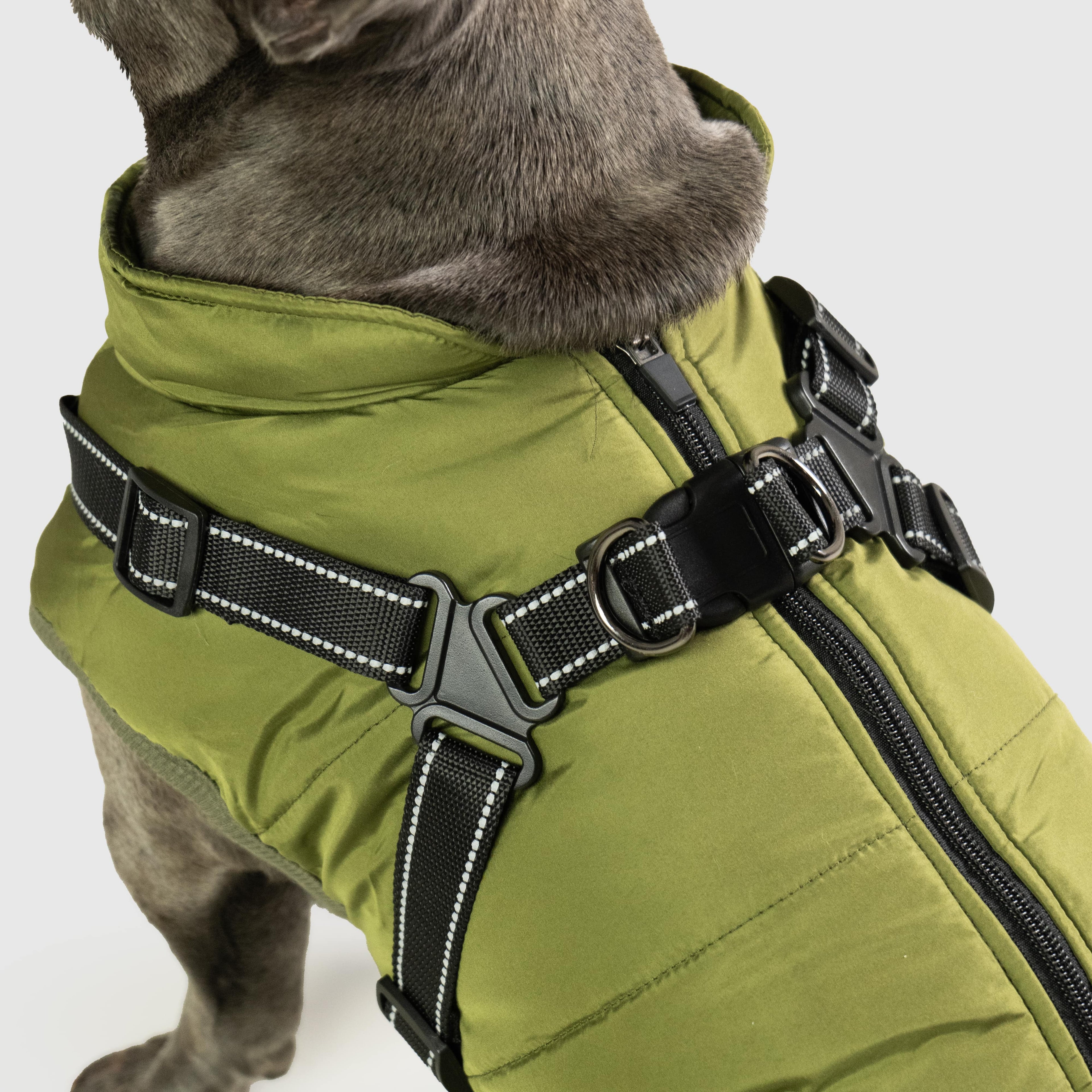 Winter Dog Coat | Built-in Safety Harness Design