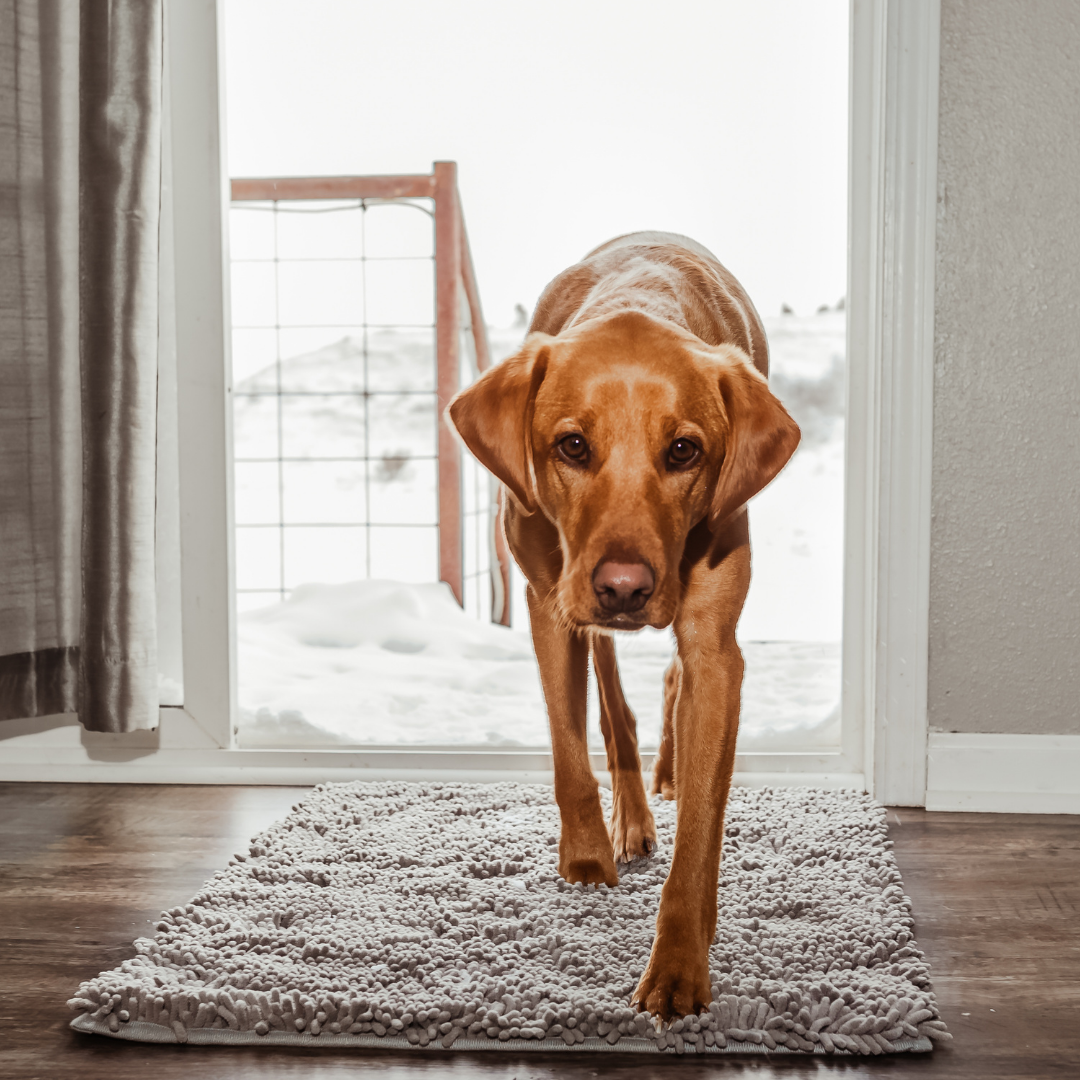 Absorbent Pet Door Mat | High-Performance Microfiber Cleaning Pad