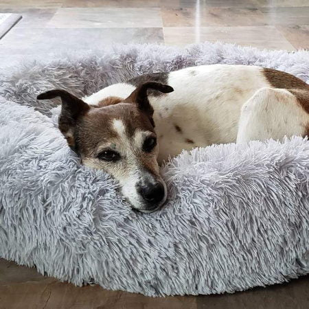 Plush Dog Bed | Round Orthopedic Design with Washable Cover