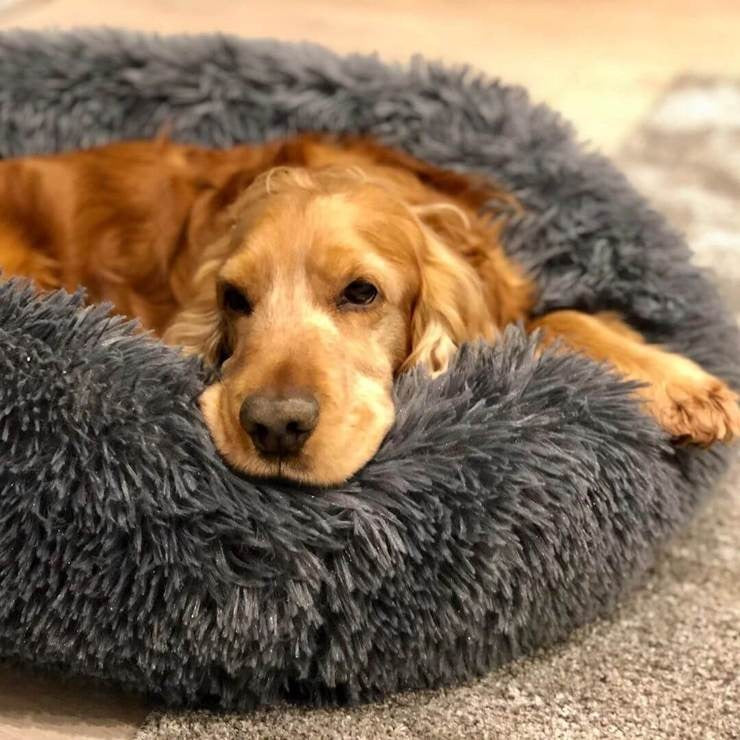 Plush Dog Bed | Round Orthopedic Design with Washable Cover