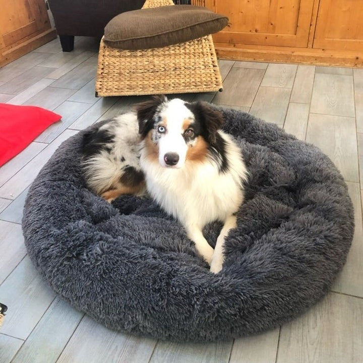 Plush Dog Bed | Round Orthopedic Design with Washable Cover