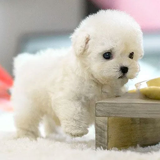 Interactive Plush Puppy | Realistic Pet Companion Toy