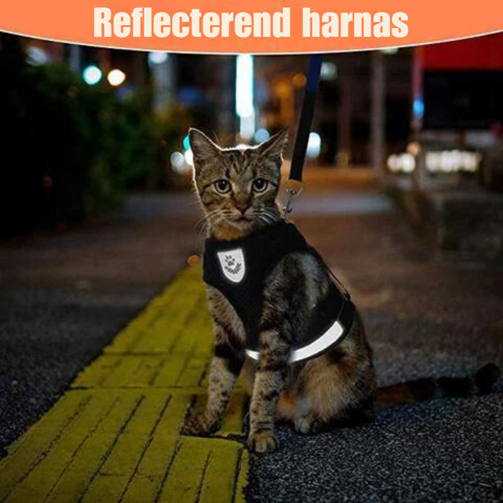 Reflective Cat Harness Set | Safety Mesh Design With Night Visibility