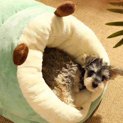 Cozy Pet Slipper Bed | Plush Coral Fleece Winter Nest