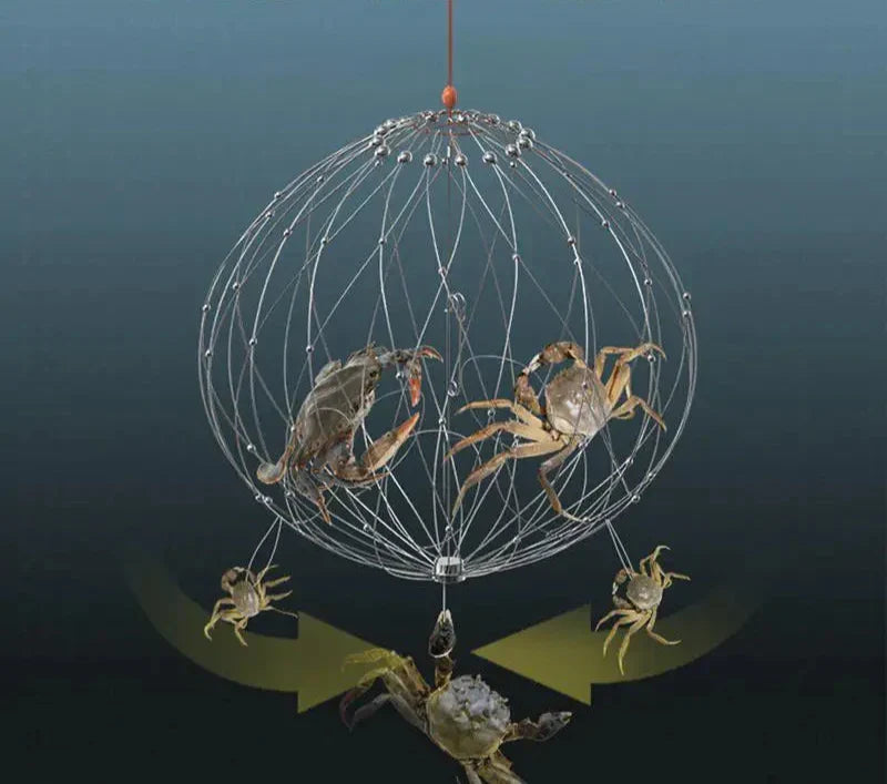 Collapsible Fishing Trap Net | Stainless Steel Mesh Design